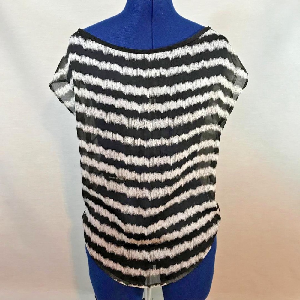 4/$15 Sheer Polyester Top (128)